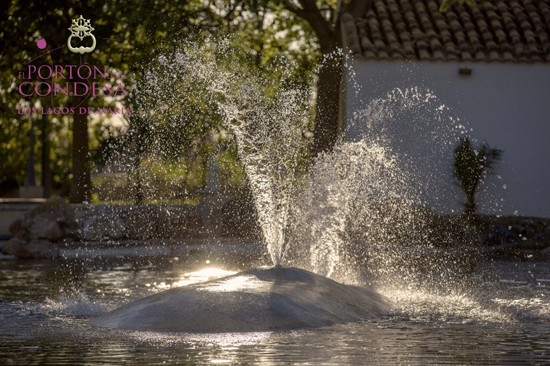 los lagos de maría, el porton de la condesa, fredy mazza fotografo, arte y armonia floristeria