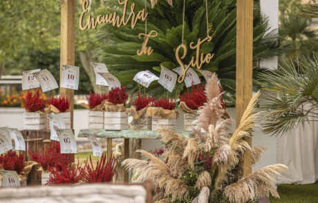 Bodas unicas novias Porton de la Condesa